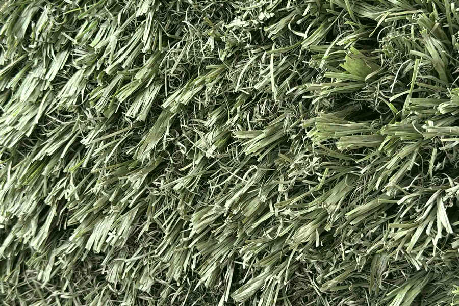 jalgpallimuru pealtvaates Jalgpallimuru pealtvaates